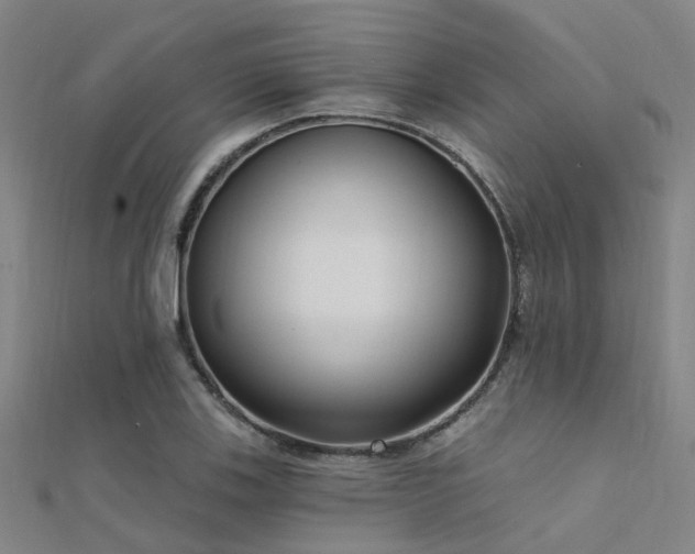 X0000112361123200908131450