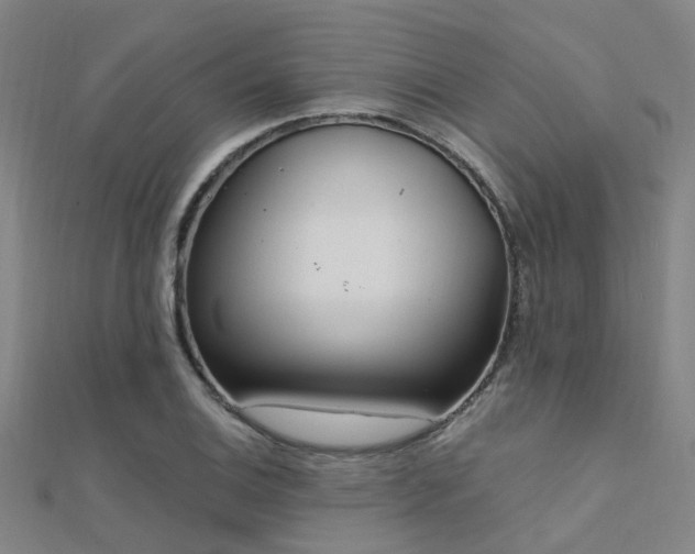 X0000112361124200908131450