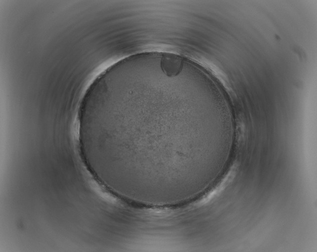 X0000112361125200908131450