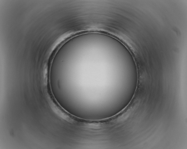 X0000112361126200908131450