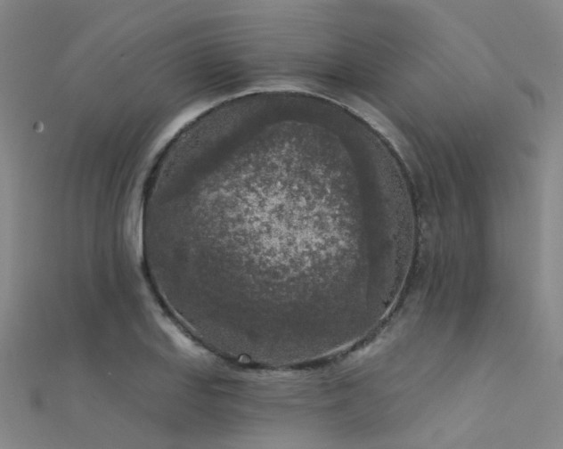 X0000112361127200908131450