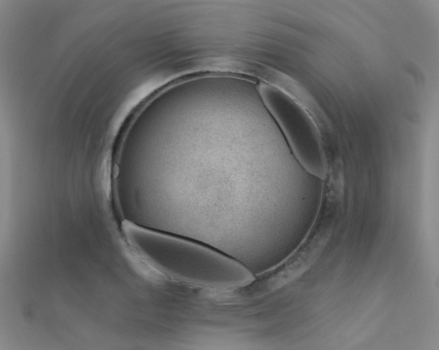 X0000112361128200908131450
