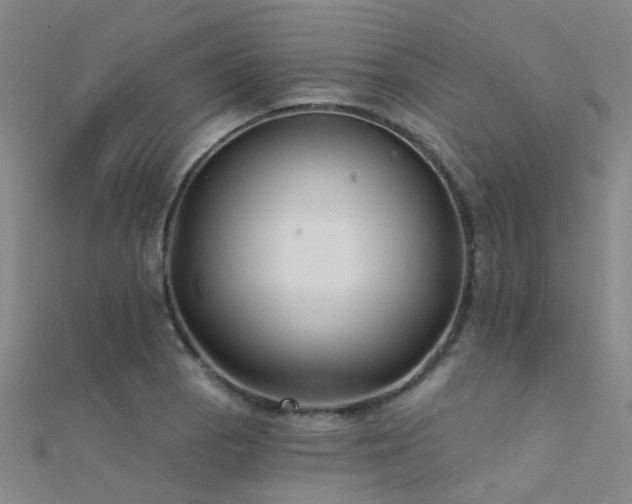 X0000112361129200908131450
