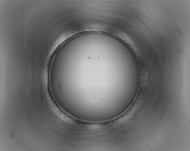 X0000112361130200908131450