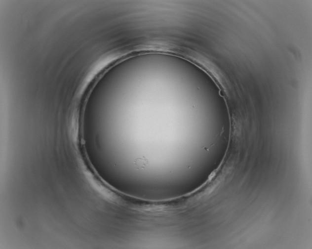 X0000112361131200908131450