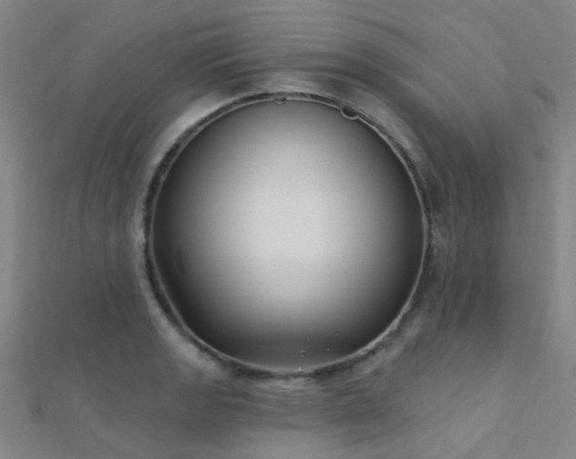 X0000112361133200908131450