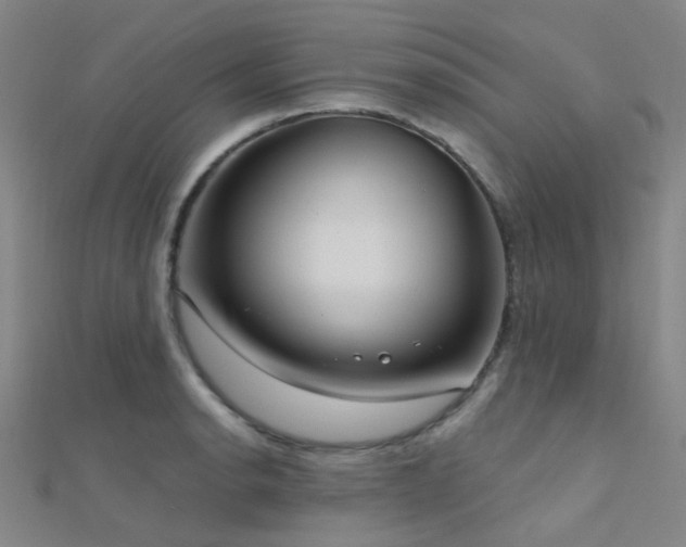 X0000112361134200908131450