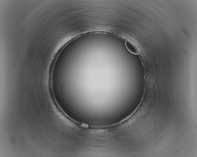X0000112361135200908131450