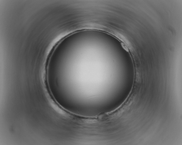 X0000112361136200908131450