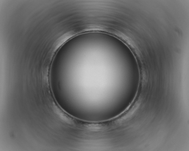 X0000112361137200908131450