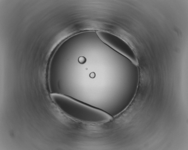 X0000112361138200908131450