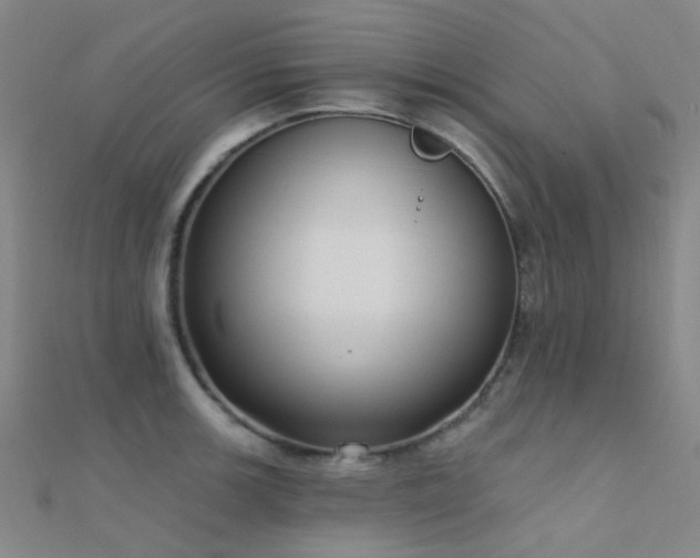 X0000112361139200908131450