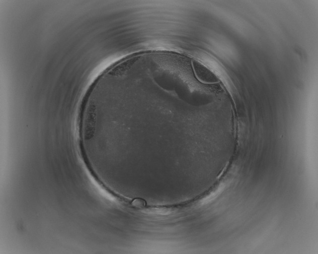 X0000112361141200908131450