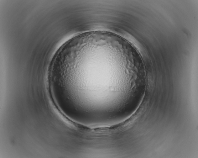 X0000112361142200908131450
