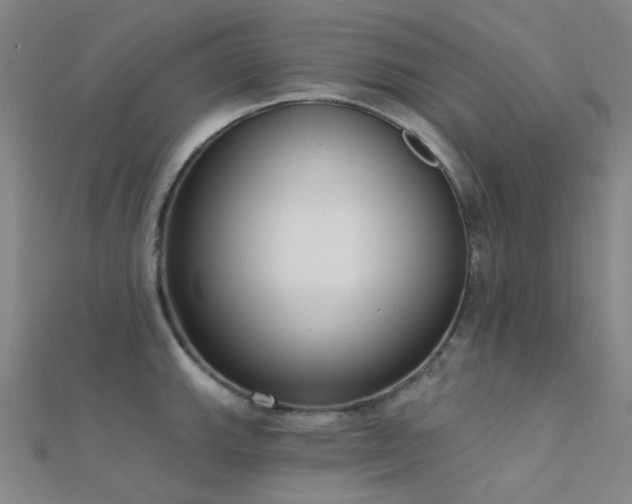 X0000112361143200908131450