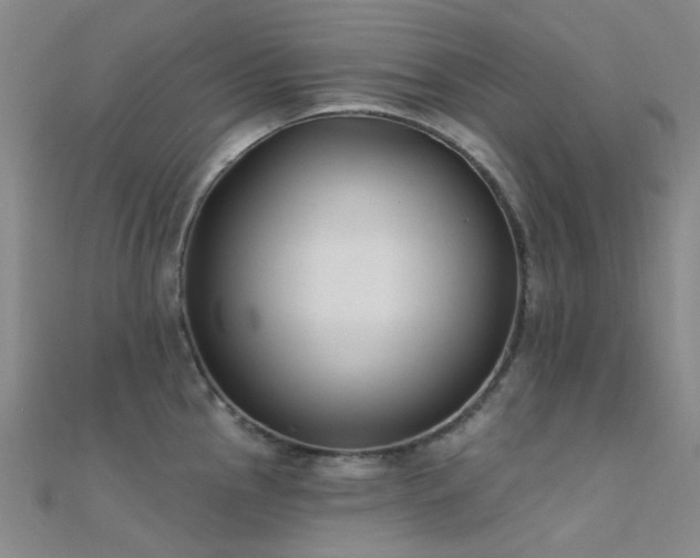 X0000112361145200908131450