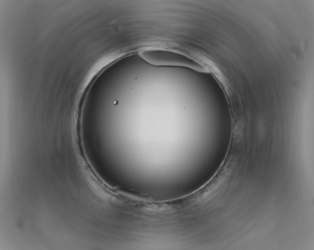 X0000112361146200908131450