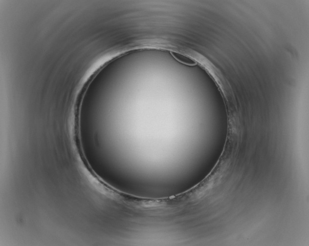 X0000112361147200908131450