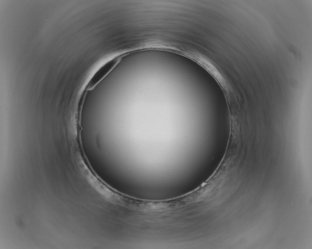 X0000112361148200908131450