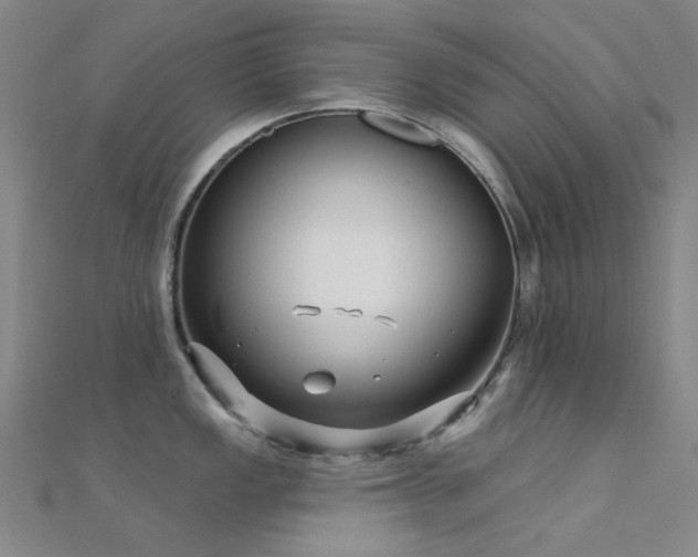 X0000112361149200908131450