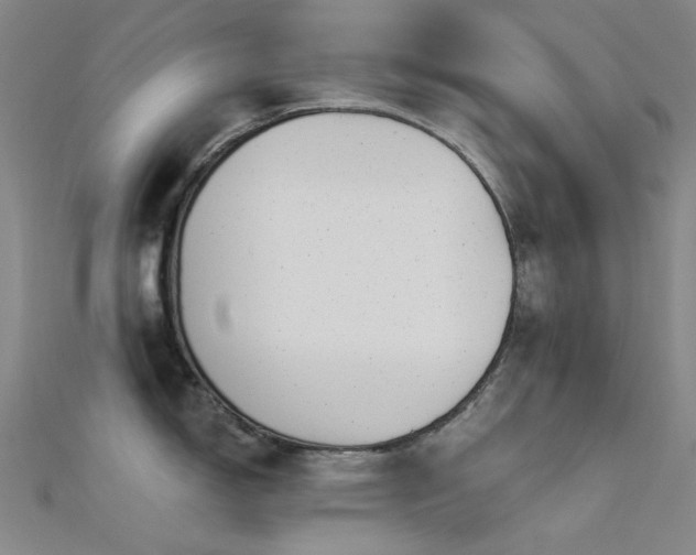 X0000112361150200908131450