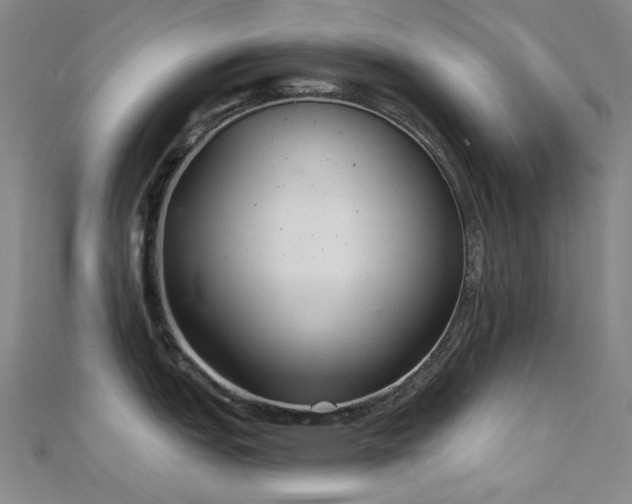 X0000112361151200908131450