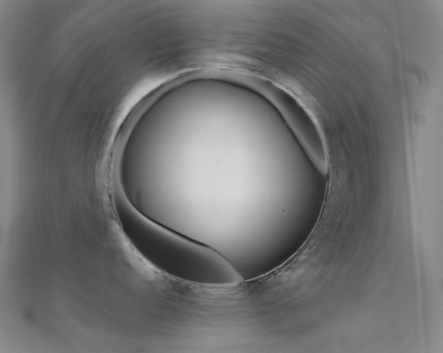 X0000112361152200908131450
