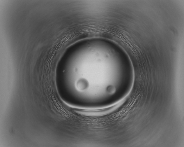 X0000112361153200908131449