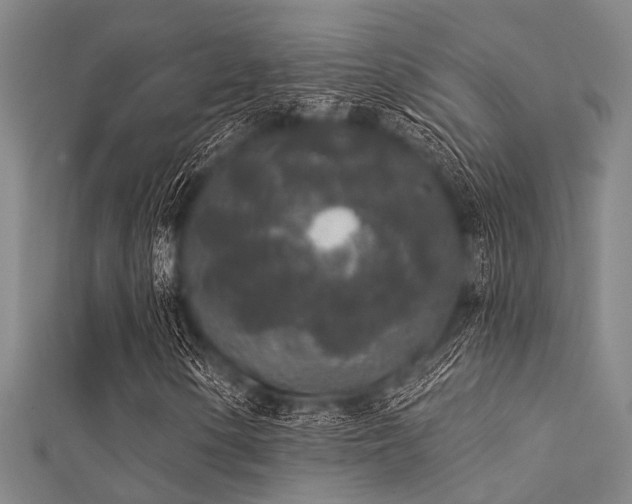X0000112361154200908131449