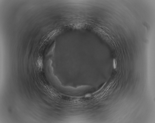 X0000112361155200908131449