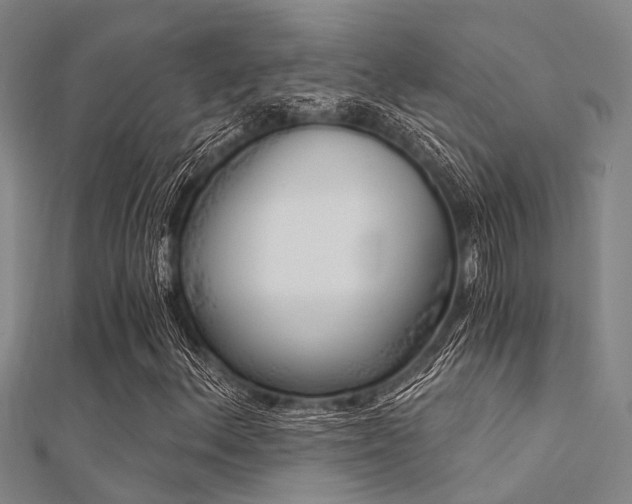 X0000112361156200908131449