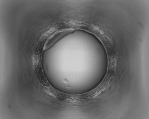 X0000112361157200908131449