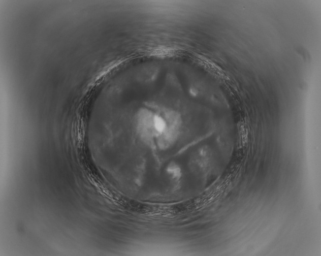 X0000112361158200908131449