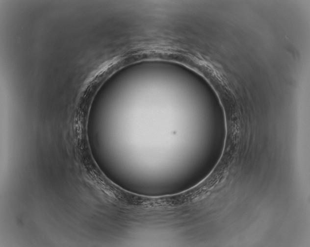 X0000112361159200908131449