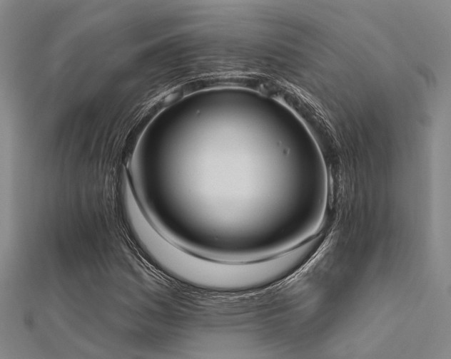 X0000112361161200908131449
