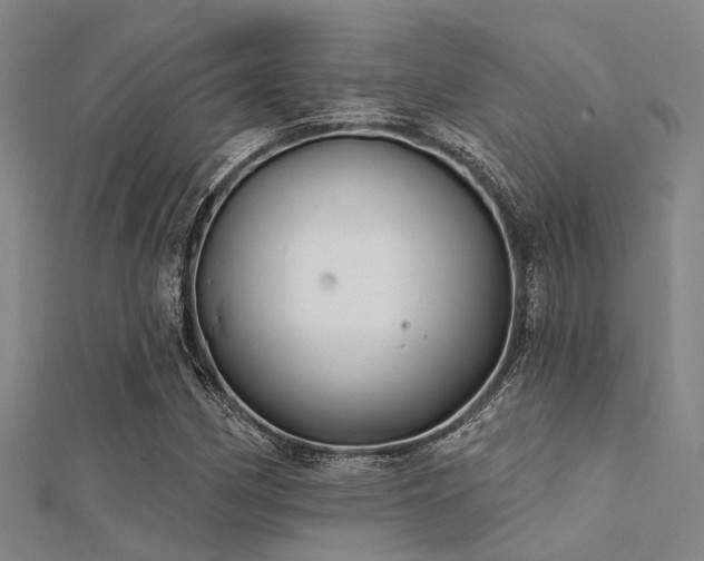 X0000112361162200908131449