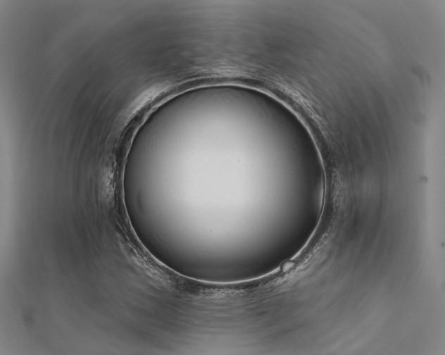 X0000112361163200908131449