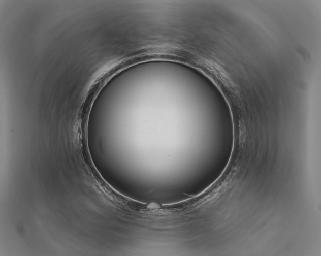 X0000112361164200908131449