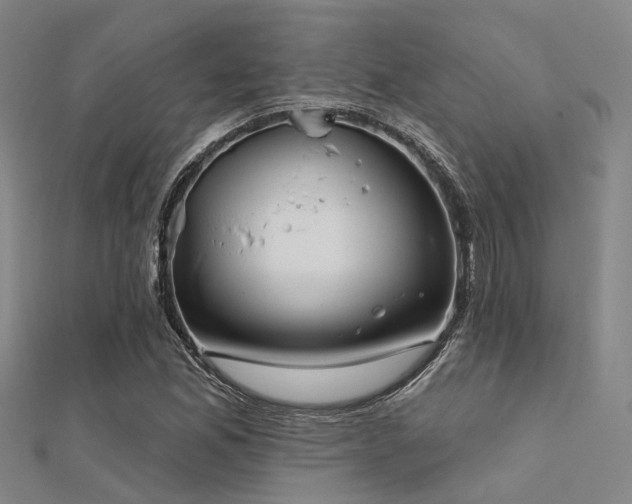 X0000112361165200908131449