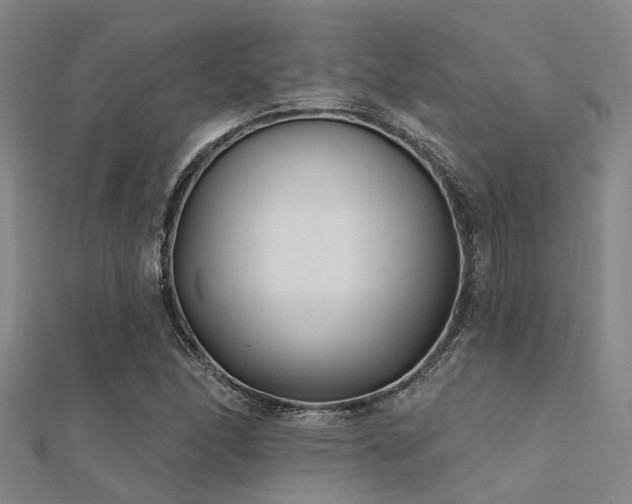 X0000112361166200908131449