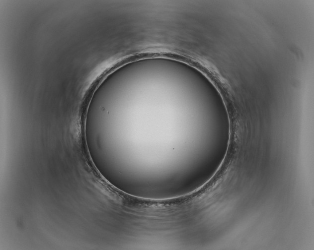 X0000112361167200908131449