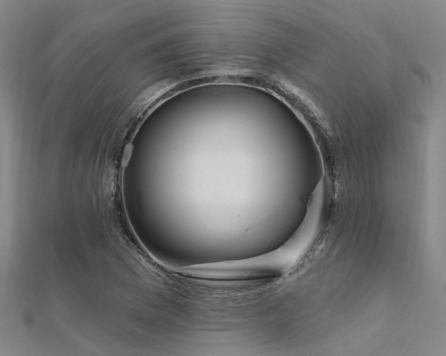 X0000112361169200908131449