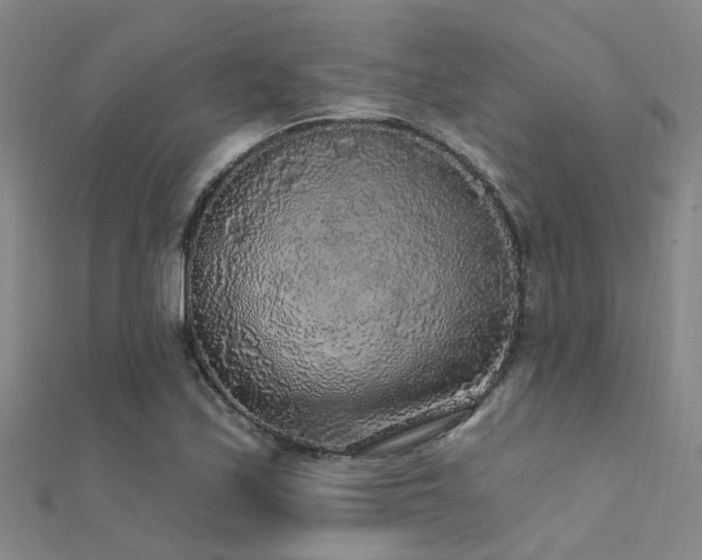 X0000112361171200908131449