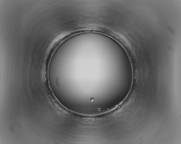 X0000112361172200908131449