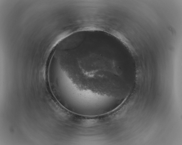 X0000112361173200908131449
