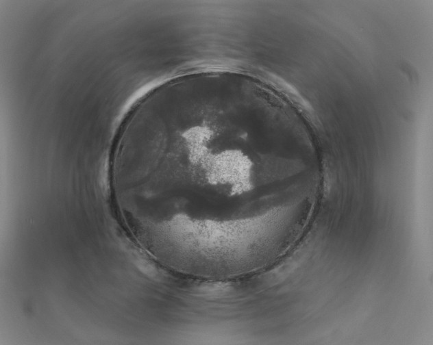 X0000112361174200908131449