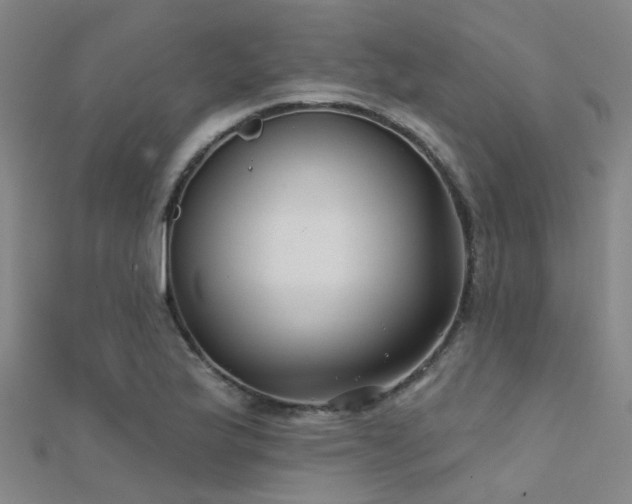 X0000112361175200908131449