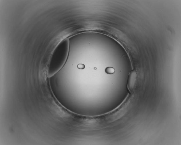 X0000112361177200908131449