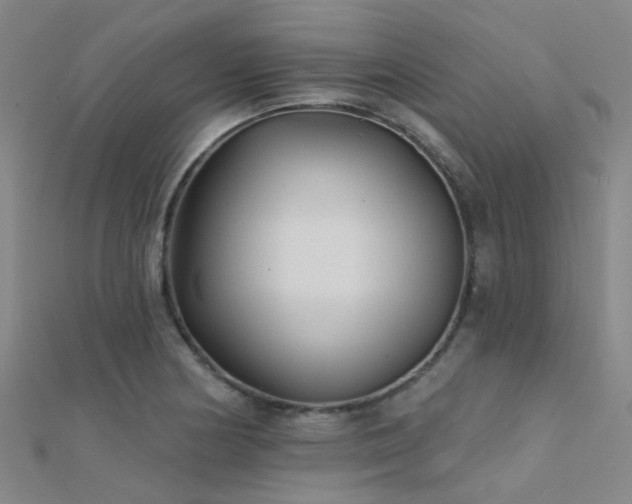 X0000112361178200908131449