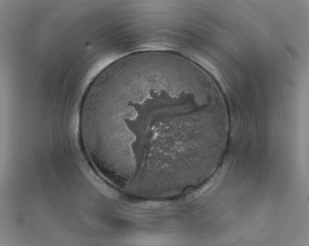 X0000112361179200908131449